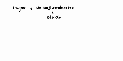 an-enzyme-is-100-inhibited-by-dinitrofluorobenzene-after-reaction-with-one-amino-acid-side-chain-it-is-also-inhibited-by-iodoacetic-acid-100-but-not-inhibited-by-thiol-reagents-what-are-the-63627