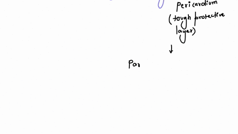 diagram-the-layers-and-structure-of-the-pericardium-and-the-heart-wall-including-fibrous-layer-parietal-layer-visceral-laterepicardium-myocardium-endocardium