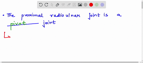 the-proximal-radioulnar-joint-is-a-__________-joint-16683