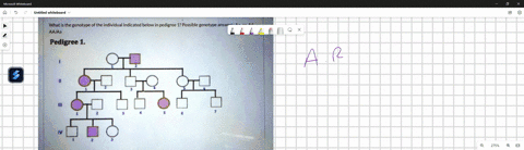 what-is-the-genotype-of-the-individual-indicated-below-in-pedigree-1-possible-genotype-answers-aaaaaa-aajaa-pedigree-1-83212