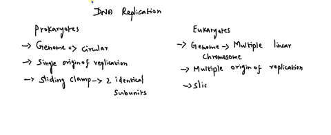 classify-each-characteristic-according-to-whether-it-is-found-in-prokaryotes-only-eukaryotes-classify-each-characteristic-according-t0-whether-it-is-found-in-prokaryotes-oij-eukaryotes-only-22375