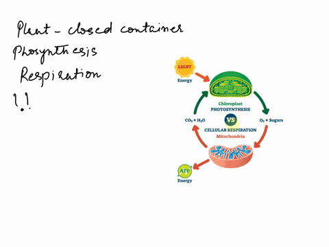 what-will-happen-to-the-dissolved-oxygen-level-in-a-closed-container-containing-a-plant-why-even-though-the-answer-is-decrease-and-the-answer-it-should-include-about-carbon-dioxide-reproduct-96762