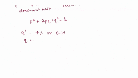 if-4-percent-of-a-population-in-equilibrium-expresses-a-recessive-trait-what-is-the-probability-that-01677