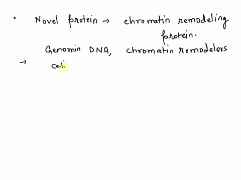 youve-isolated-a-novel-protein-that-has-a-homology-to-a-known-chromatin-remodeling-protein-what-experiments-would-you-carry-out-to-study-the-function-of-the-protein-83766