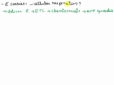 1-why-are-electron-carriers-so-important-in-the-process-of-cellular-respiration-a-the-electrons-that-they-carry-are-able-to-directly-phosphorylate-adp-in-order-to-generate-the-bulk-productio-26713
