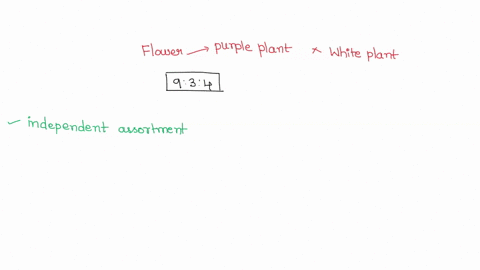 a-particular-flower-can-be-purple-blue-red-or-white-a-pure-breeding-purple-plant-is-crossed-with-a-pure-breeding-white-plant-and-the-f-1-are-then-crossed-to-produce-an-f-2-generation-what-mi-83683