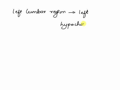 1-which-abdominal-region-is-directly-medial-and-superior-to-the-left-lumbar2-which-abdominal-region-is-superior-to-the-umbilical-region-3-which-abdominal-region-is-inferior-to-the-right-hypo-66825