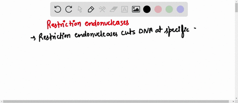 recombinant-dna-and-dna-fingerprints-have-also-been-produced-using-restriction-enzymes-restriction-endonucleases-explain-the-impact-restriction-enzymes-have-on-dna-45896