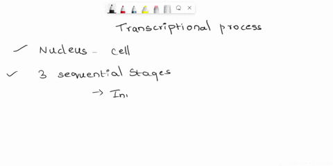 describe-transcriptional-process-in-eukaryotic-cell-59277