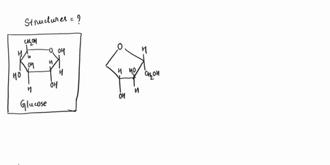 4-for-the-sugars-glucose-fructose-sucrose-and-lactose-a-draw-their-structures-12-marks-b-using-the-ah-b-theory-draw-specific-ah-b-couples-on-the-molecules-to-demonstrate-their-sweet-taste-11-83504