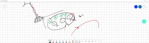 chapter-2-coordination-control-answer-all-questions-why-do-synaptic-knobs-have-a-high-density-of-mitochondria-1-mark-state-the-mineral-ion-that-causes-synaptic-vesicles-to-fuse-with-the-pres-38992