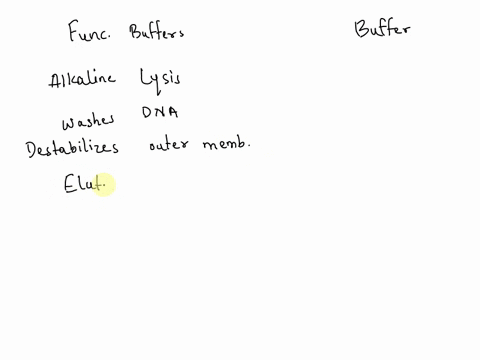 match-the-buffer-used-in-plasmid-isolation-with-the-correct-mechanism-mode-of-action_-alkaline-lysis-washes-dna-destabilizes-outer-membrane-of-bacterial-cells-elutes-dna-tightens-dna-bound-t-53014