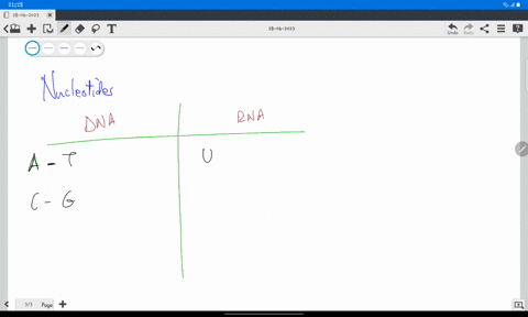 explain-how-nucleotides-can-react-with-each-other