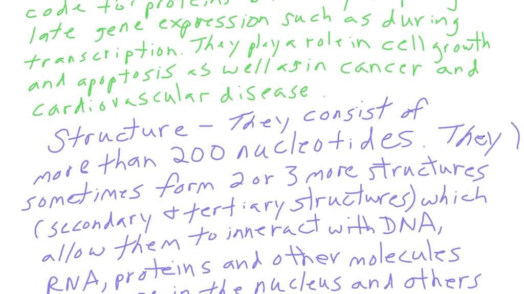 SOLVED: what long non coding rna theri biological functions, structure ...