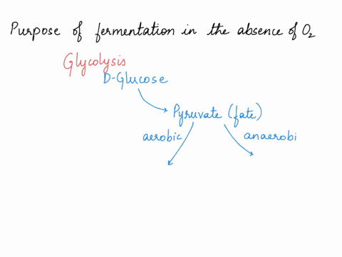 what-is-the-main-purpose-of-fermentation-when-oxygen-is-absent-answer-47332