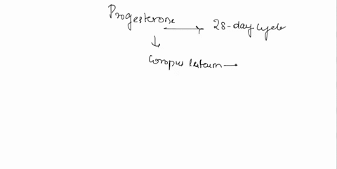 describe-the-levels-of-progesterone-during-an-average-28-day-cycle-and-explain-why-these-levels-occur-83179