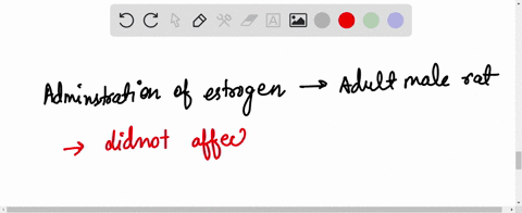 administration-of-estrogen-to-adult-male-rats-result-in-a-decreased-testosterone-production-b-decreased-luteinizing-hormone-and-testosterone-production-c-increased-estrogen-secretion-in-the-testis-d-n