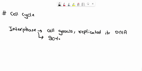 cells-spend-most-of-their-time-in-a-interphase-b-mitosis-c-cytokinesis-b-both-mitosis-and-cytokinesis-90265