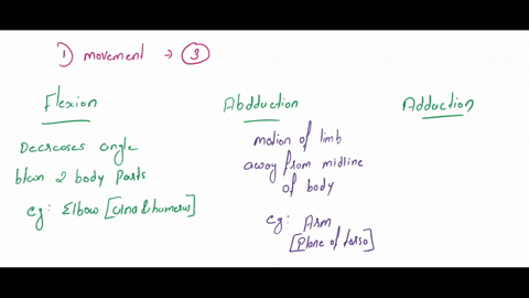 list-and-differentiate-the-three-categories-of-movement-give-an-example-of-cach-describe-the-role-of-each-of-the-following-neural-control-of-movement-spinal-cord-brain-stem-cerebellum-motor-68846