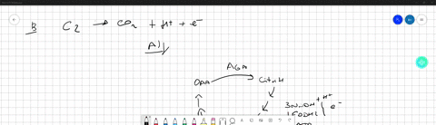 question-37-the-following-c2-co2-h-e-represents-a-krebs-cycle-b-glycolysis-c-electron-transport-system-d-preparatory-reaction-1-points-question-38-when-atp-is-made-during-the-krebs-cycle-it-19437
