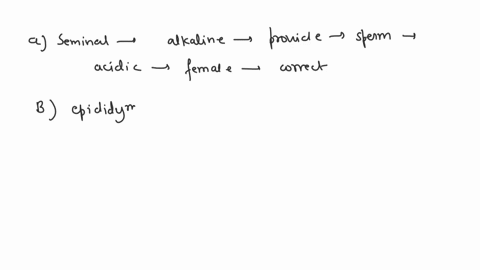 which-of-the-following-incorrectly-pairs-a-structure-of-the-male-reproductive-system-with-a-feature-41605