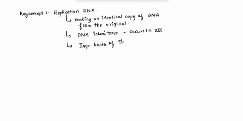wrling-genetic-code-name_-in-the-dna-strand-belov-ihere-are-words-thal-are-encoded-make-senlence-each-word-an-exon-there-single-intron-in-between-each-exon-dividing-the-words-the-nd-of-the-s-25514
