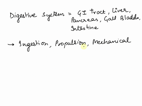 functions-of-the-digestive-system-include-which-of-the-following-ingestion-of-foods-and-liquids-mechanical-processing-of-food-materials-and-liquids-boosting-expiratory-efficiency-by-lifting-15486