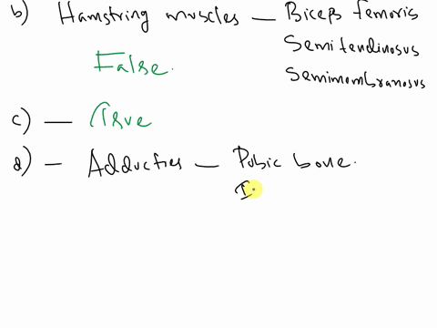 2true-or-false-athe-gluteus-medius-adducts-and-medially-rotates-the-hip-bthe-hamstrings-muscles-are-comprised-of-the-biceps-femoris-gracilisand-sartorius-truefalse-truefalse-the-sartorius-mu-59188