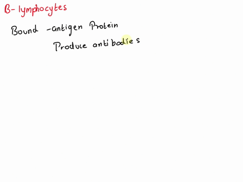 question-44-which-of-the-following-is-a-function-of-b-lymphocytes-ingest-large-particles-and-cells-by-phagocytes-interact-with-macrophages-and-secrete-cytokines-interact-with-infected-host-c-94607