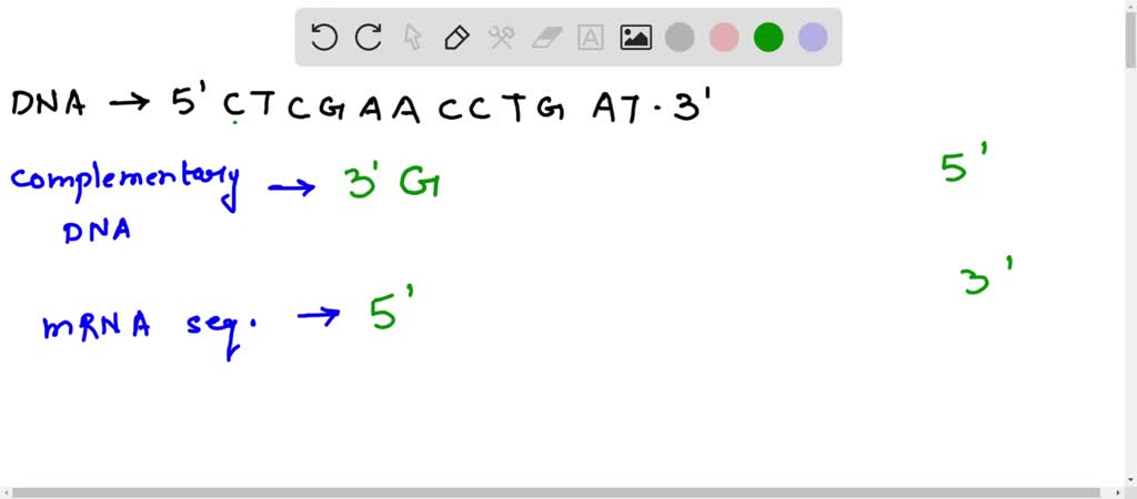 Solved: For The Following Partial Dna Coding Sequence, (a) Write The 