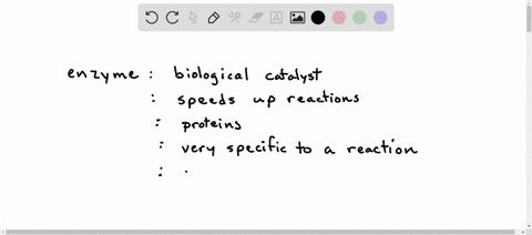 which-of-the-following-statements-about-enzyme-catalyzed-reactions-is-true-enzymes-always-drive-reactions-toward-chemical-equilibrium-the-free-energy-change-of-the-reaction-is-greater-than-w-91653