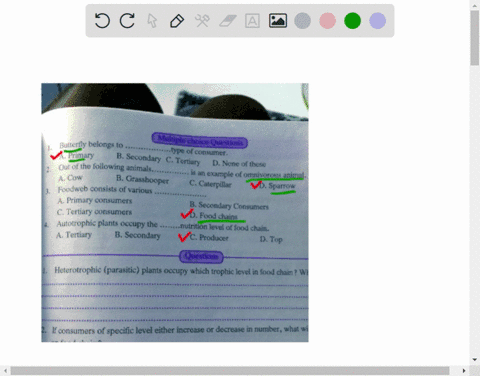 plzz-solve-this-fr-me-the-mcq-72417