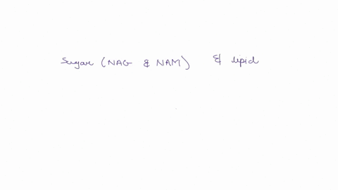 what-is-the-bacterial-cell-wall-made-of-select-one-a-sugars-nag-and-nam-and-peptide-chains-b-sugars-and-peptide-nag-and-nam-chains-cilsugars-nag-and-nam-and-lipids-d-sugars-nag-and-nam-and-n-08839
