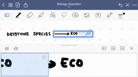 what-is-true-about-a-keystone-species-group-of-answer-choices-it-is-always-abundant-they-are-only-found-in-terrestrial-communities-it-can-be-an-ecosystem-engineer-it-is-almost-always-a-top-p-83672