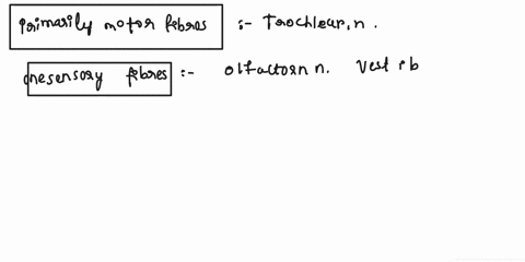 for-each-cranial-nerveplace-the-label-in-the-appropriate-boxcategorizing-it-based-on-function-primarily-motor-fibers-trochlear-n-optic-n-accessory-n-olfactory-n-vagus-n-only-sensory-fibers-f-89367
