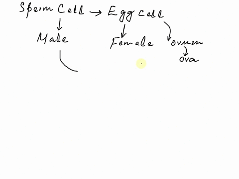 a-sperm-cell-and-an-egg-cell-fuse-to-form-which-structure-37972