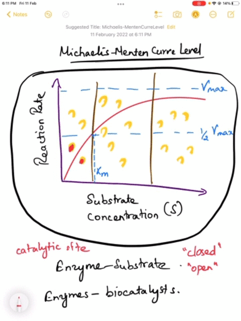 1-why-does-the-michaelis-menten-curve-level-for-enzyme-rate-level-off-to-some-maximal-value-vmax-at-high-substrate-concentrations-s-08859