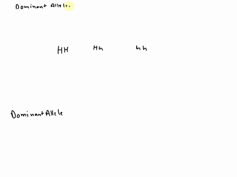 which-genotype-represents-a-homozygous-dominant-allele-hh-hh-hh-04934
