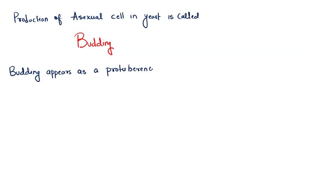 SOLVED: For cell bio, describe the process of shmooing in Saccharomyces ...