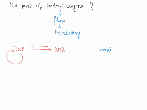 which-of-the-following-is-not-part-of-the-central-dogma-atranscription-bmitosis-ctranslation-dprotein-processing-30267