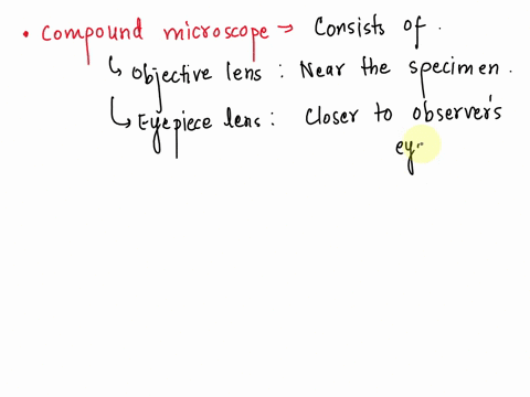 while-observing-slides-under-a-microscope-jack-adjusts-the-microscopes-mirror-so-that-a-circle-of-light-can-be-seen-which-microscope-is-in-use-55406