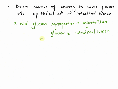glucose-and-sodium-move-from-the-lumen-of-the-small-intestine-into-the-blood-via-transport-proteins-in-the-epithelial-cells-lining-the-small-intestines-figure-1-based-on-figure-1-describe-th-21012
