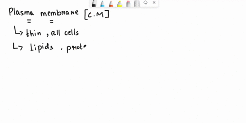 why-is-the-plasma-membrane-called-a-lipid-bilayer-and-how-can-it-be-selectively-permeable-26203