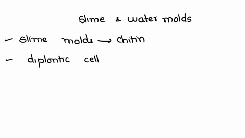 why-slime-and-water-molds-are-not-included-in-kingdom-fungi-when-they-resemble-with-fungi-21629