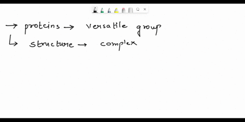 proteins-14why-are-proteins-considered-to-be-the-most-versatile-group-of-molecules-in-terms-their-structure-and-function-15-list-some-of-the-typical-functions-performed-by-proteins-in-the-ce-83864