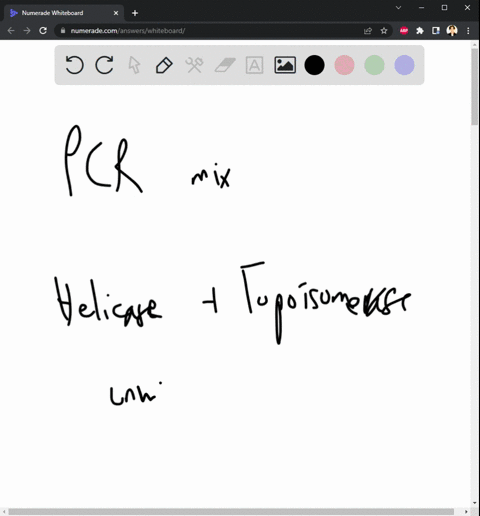 question-3-05-pts-a-which-of-the-enzymes-required-for-dna-replication-within-cellare-not-include-inapcr-polymerase-chain-reaction-mix-because-the-denaturation-step-achieves-the-same-goal-sel-06406