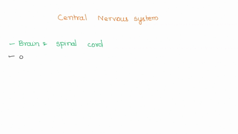 which-of-the-following-is-part-of-the-central-nervous-system-check-all-boxes-that-apply-dorsal-root-ganglion-brain-spinal-cord-spinal-nerves-cranial-nerves-30119
