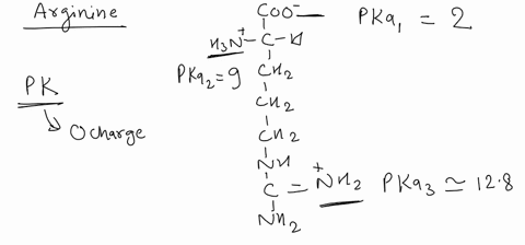 provide-the-structure-of-arginine-at-different-ph-as-below-ph-pka1-pka1-ph-pkaz-pkaz-ph-pka3-ph-pka3-relate-your-answer-to-the-buffering-region-in-the-titration-curve-what-happens-to-arginin-88474
