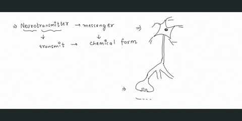 which-of-the-following-is-not-a-mechanism-for-removing-neurotransmitter-from-synaptic-cleft-neurotransmitter-diffuses-from-synaptic-cleft-into-general-circulation-neurotransmitter-taken-up-b-68688