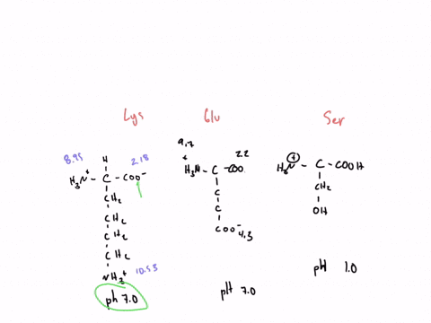 calculate-the-charge-and-draw-the-structure-of-the-predominant-ion-for-lysine-at-ph-70-chchch-chnhz-ii-glutamic-acid-at-ph-70-r-chch-cooh-iid-serine-at-ph-10-r-choh-84973
